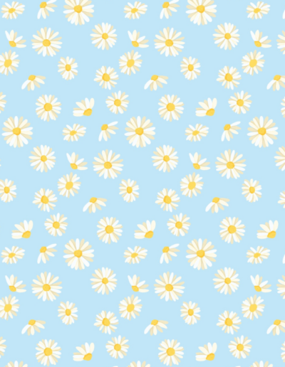 White Daisies pastel blue background pattern