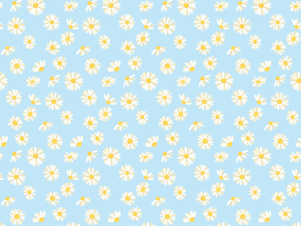 White Daisies pastel blue background pattern